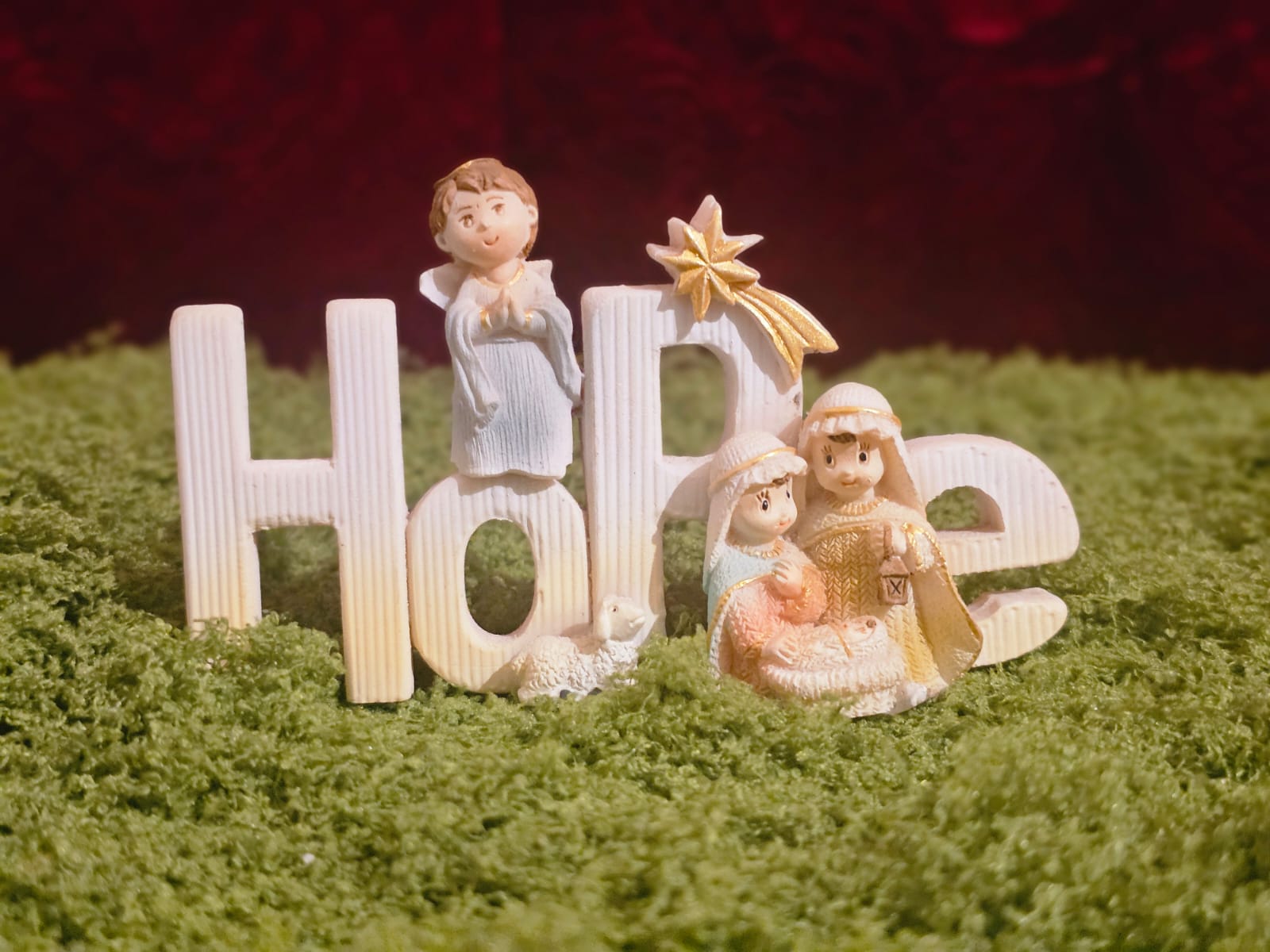 WhatsApp Image 2025-12-01 at 14.32.35_dfa44717