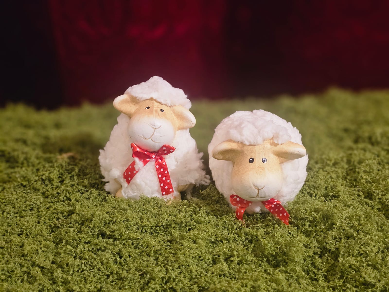 WhatsApp Image 2025-12-01 at 14.40.24_dd2110c3