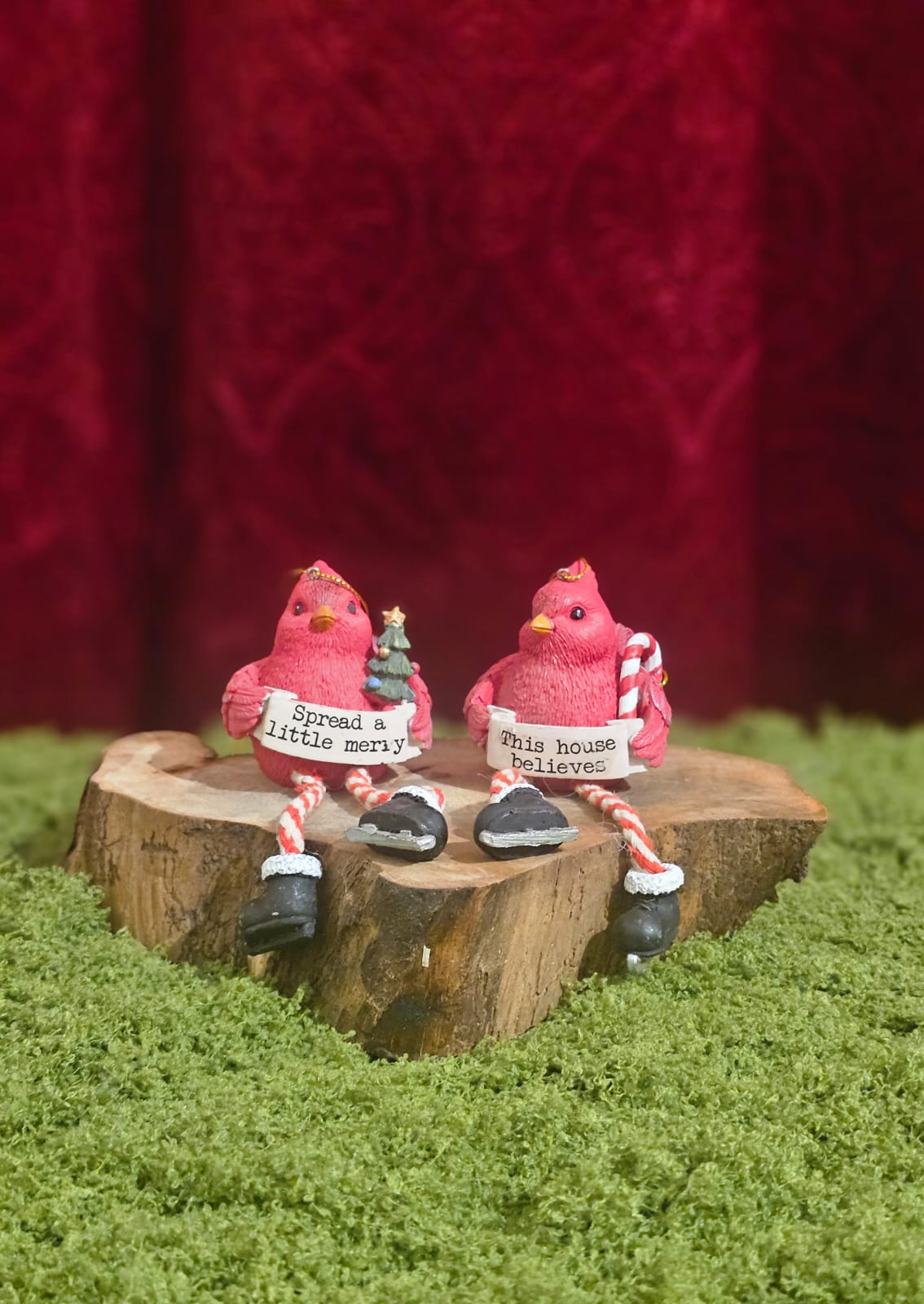 WhatsApp Image 2025-12-01 at 15.15.53_6228644e