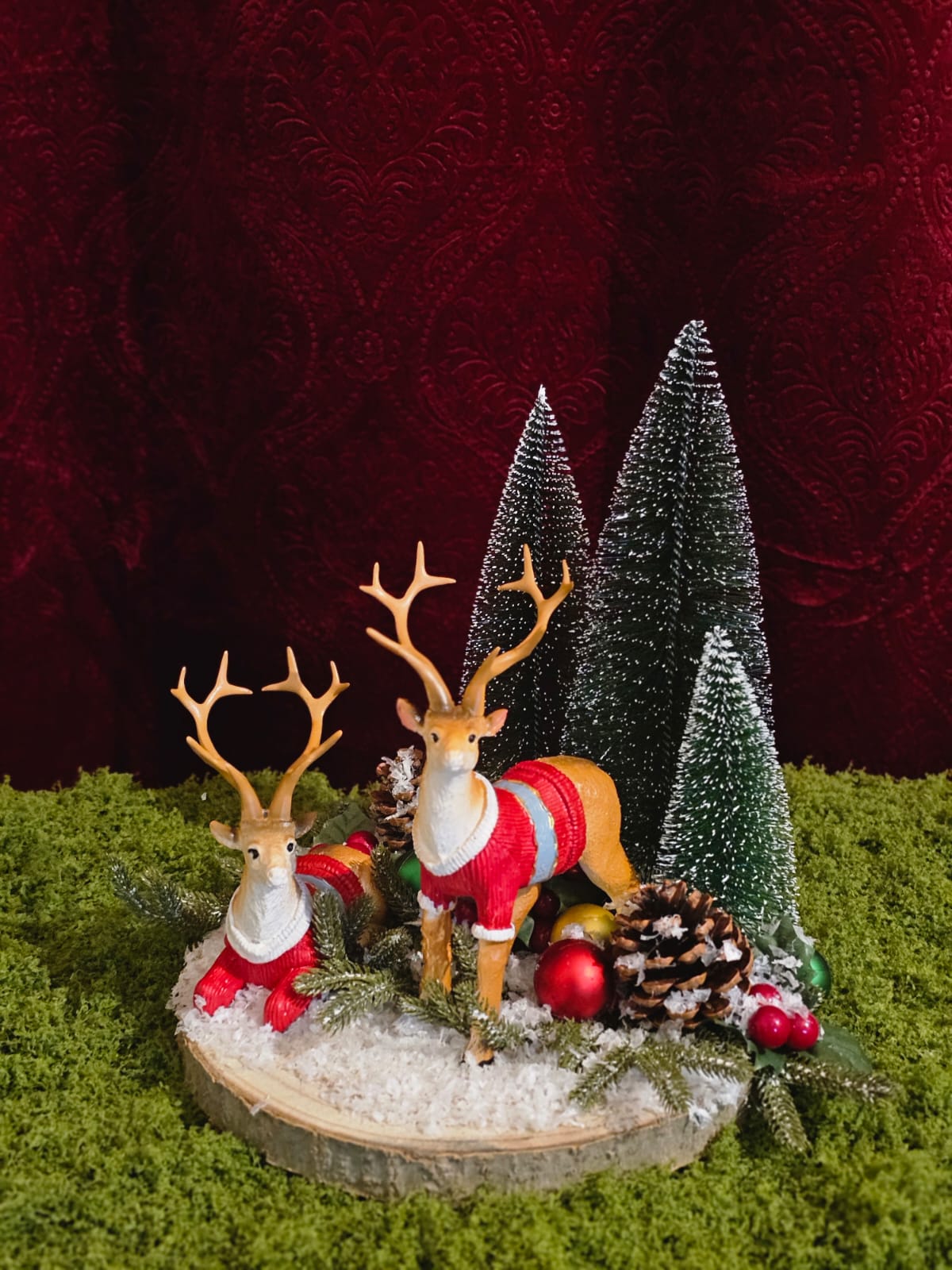 WhatsApp Image 2025-12-05 at 00.07.30_19086c68